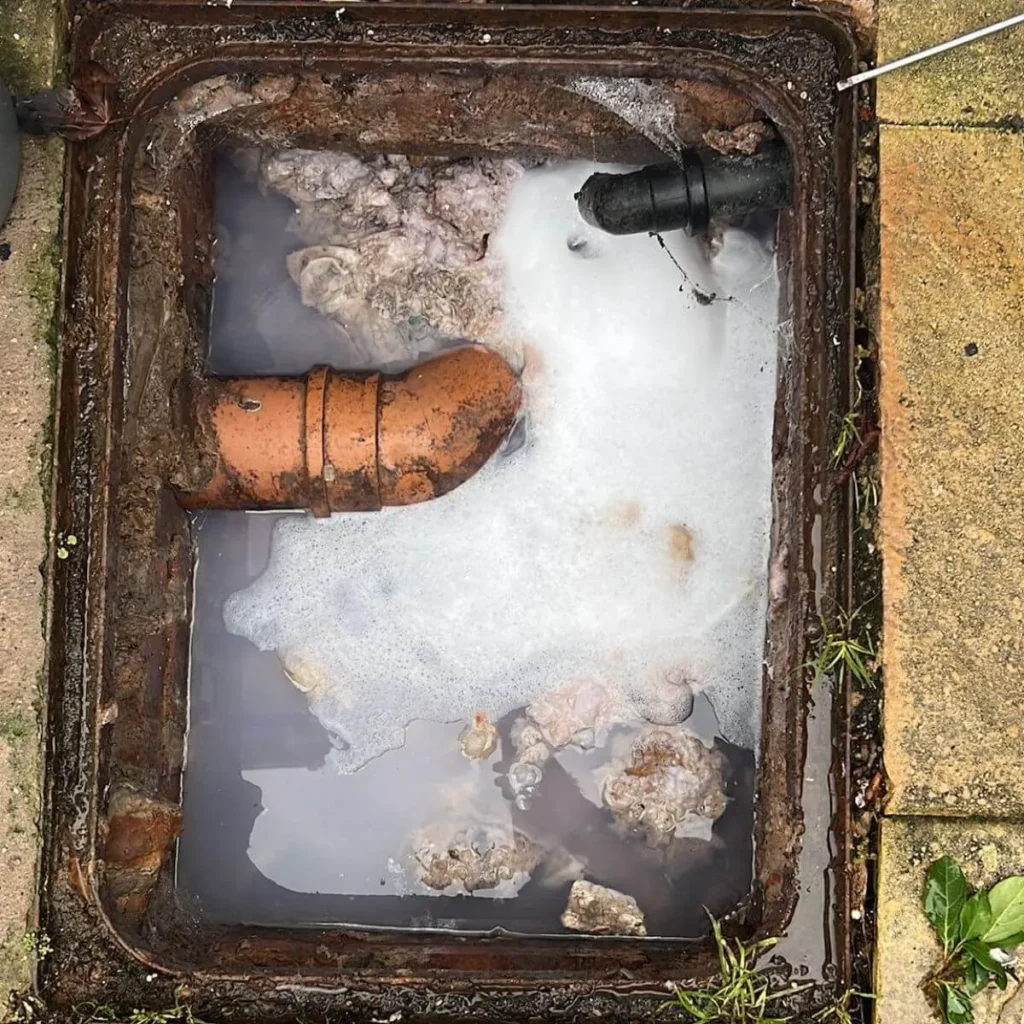 a blocked drain in Hampshire with toilet roll and water backing up